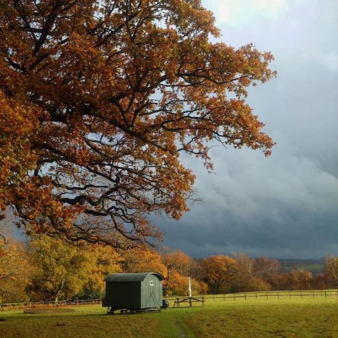 Skylark Shepherds Hut รอยัลทันบริดจ์เวลส์ ภายนอก รูปภาพ